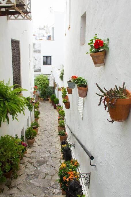 Casa Anicca Apartment Vejer de la Frontera Bagian luar foto